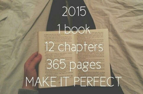 2015, 1 book, 12 chapters, 365 pages, make it perfect 2015, 1 book, 12 chapters, 365 pages, make it perfect