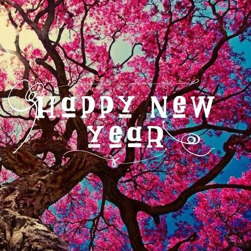 Happy New Year Happy New Year