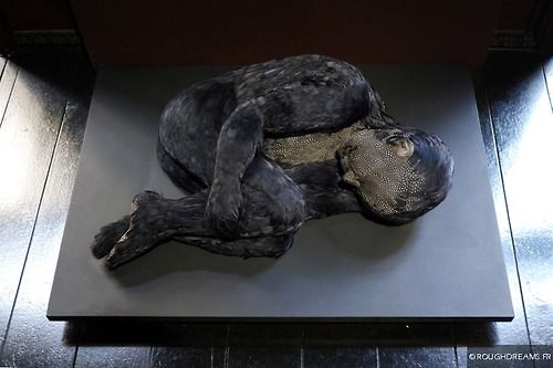 Lucy Glendinning . Feather Child