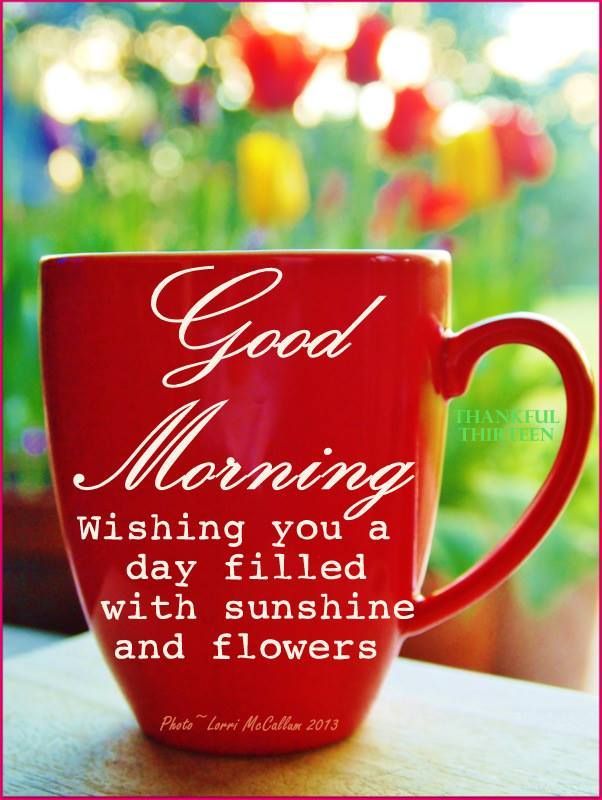 Good Morning Good Morning