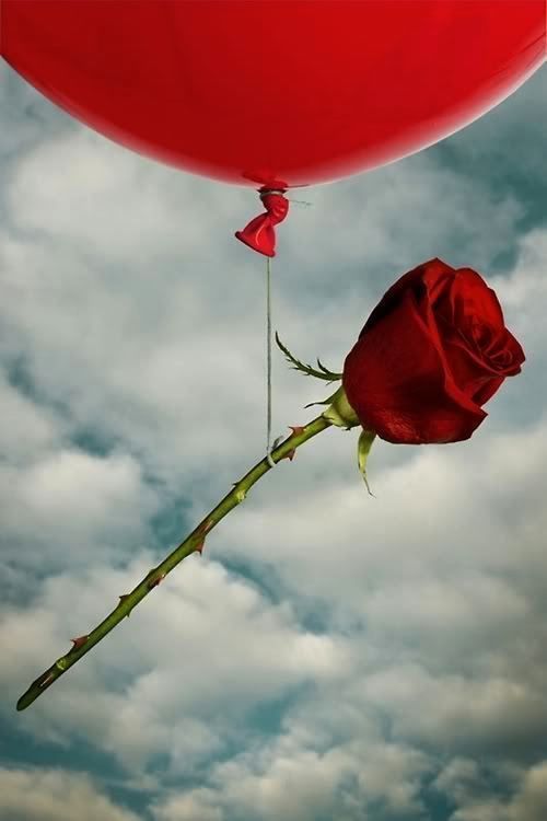 Close but not too close