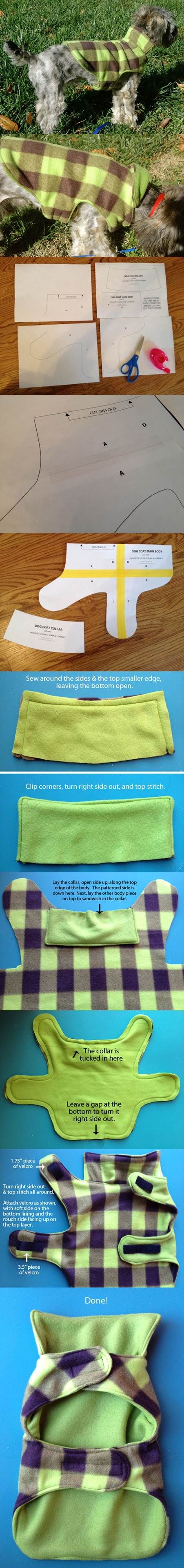 DIY Dog Shirt