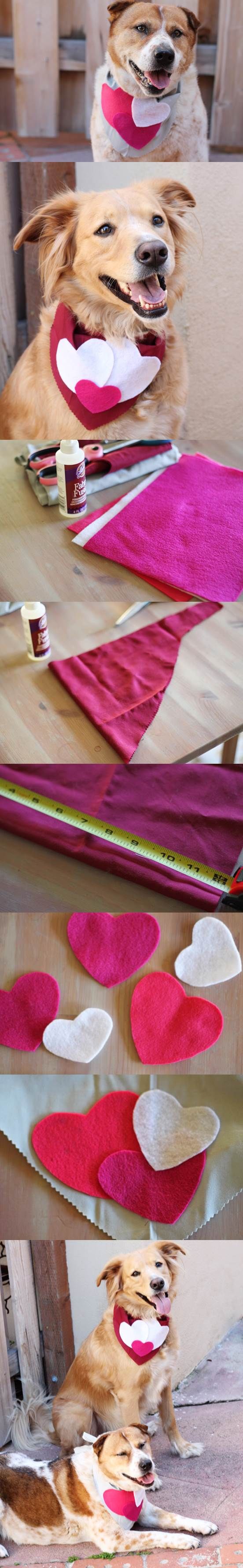 DIY Valentines Scarf For Dogs
