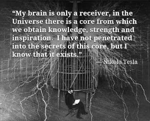 My brain