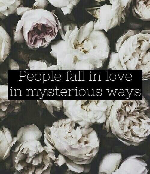 people fall in love people fall in love