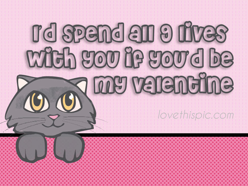 9 lives 9 lives