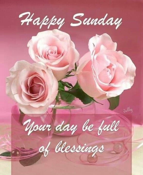 Happy Sunday May Your Day Be Filled With Blessings Happy Sunday May Your Day Be Filled With Blessings