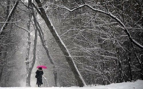 Wintertime beauty