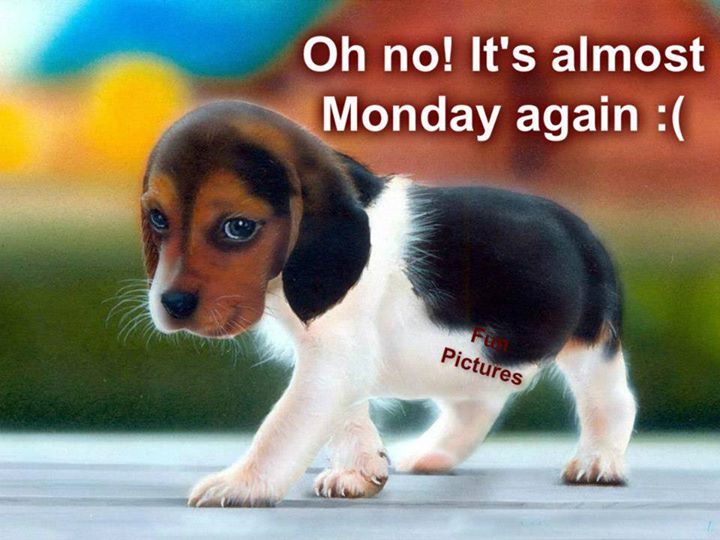 oh no it's almost Monday