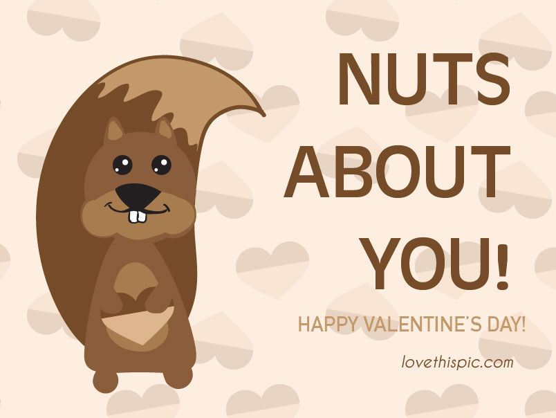 Nuts about you Nuts about you