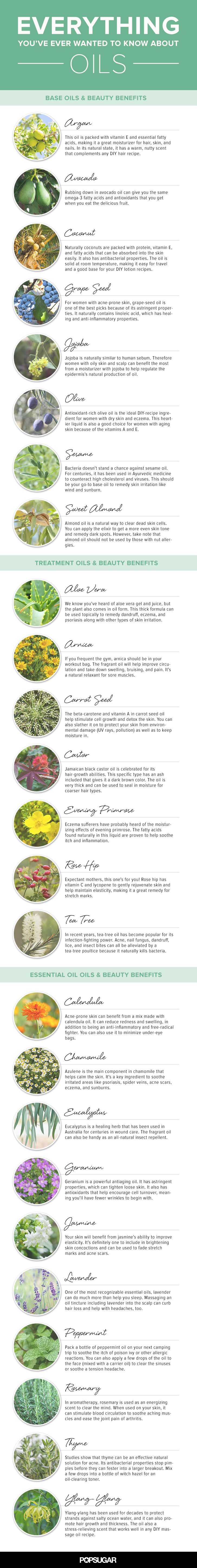 everything you wanted to know about oils everything you wanted to know about oils