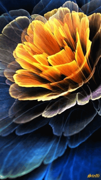 Blooming Flower