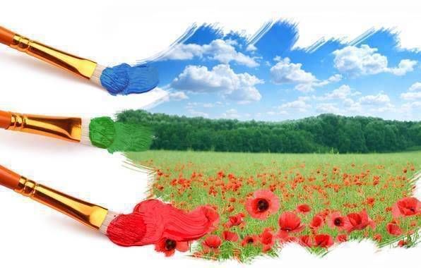 Colours of the field