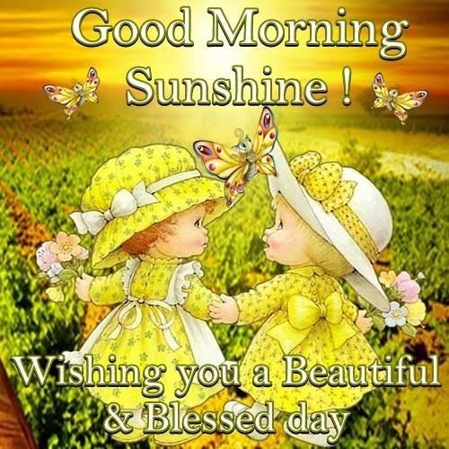Good Morning Wishing You A Beautiful Day Good Morning Wishing You A Beautiful Day