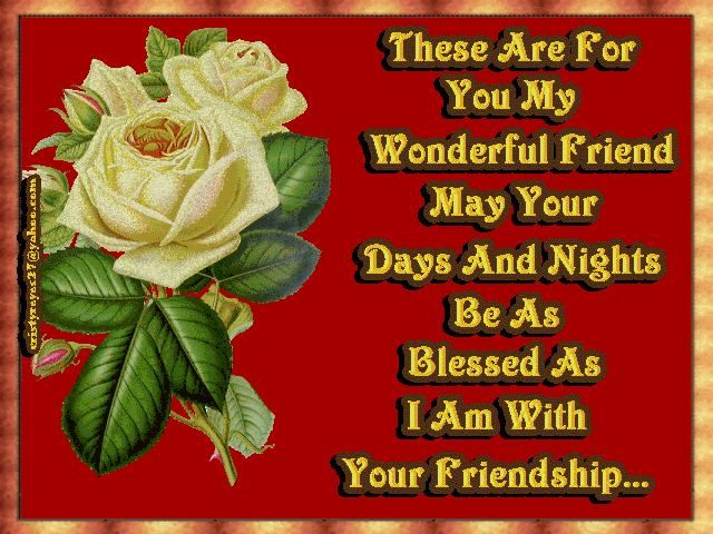These are for you friend These are for you friend