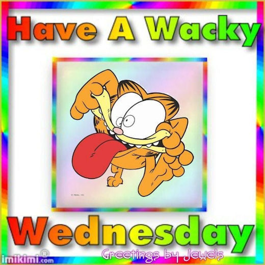 Have a Wacky Wednesday