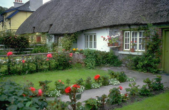 Garden Paths