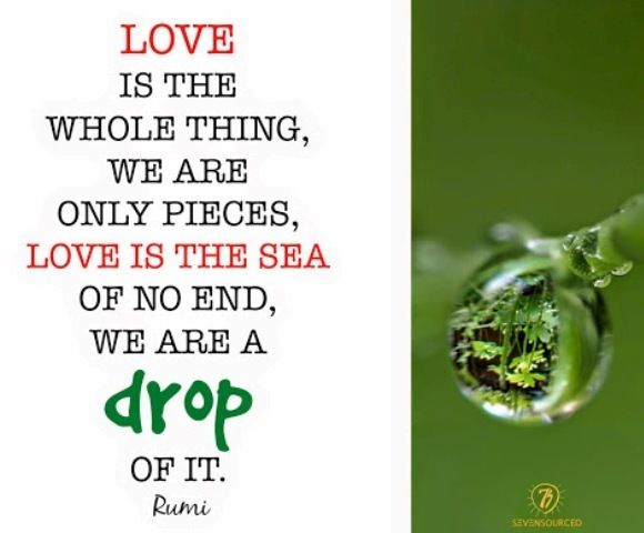 Rumi ..Love is