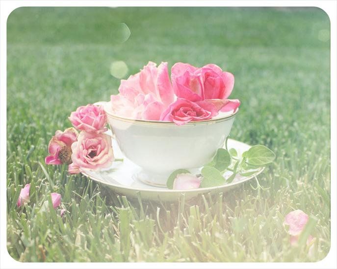 Flower Flower