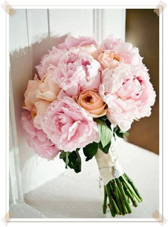 Flower Flower
