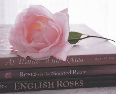 rose rose