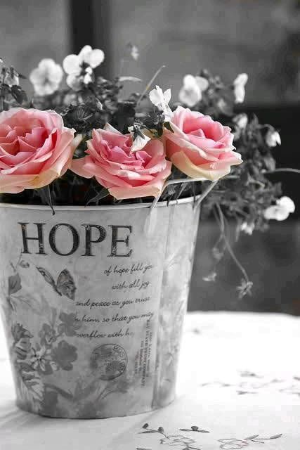 Flower Flower
