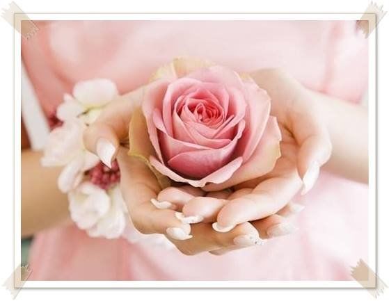 rose