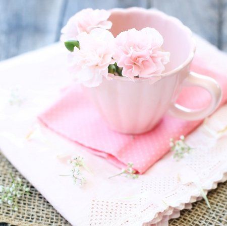 Flower Flower
