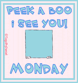 Peek a Boo I see You Monday!