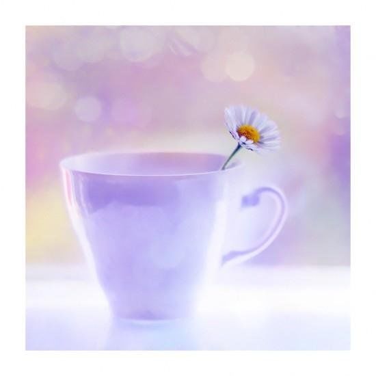 Flower Flower