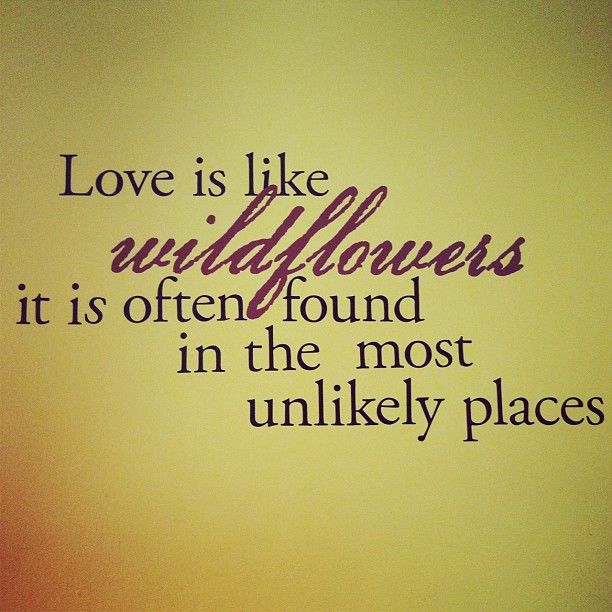 Love is like wildflowers Love is like wildflowers