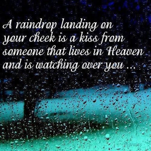 a raindrop