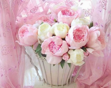 Flower Flower