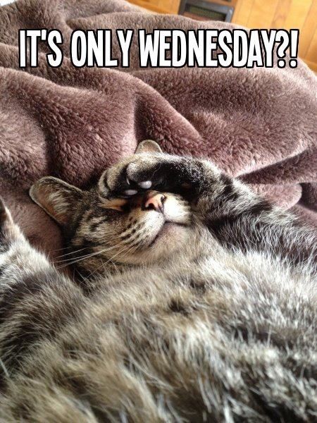 It's Only Wednesday It's Only Wednesday