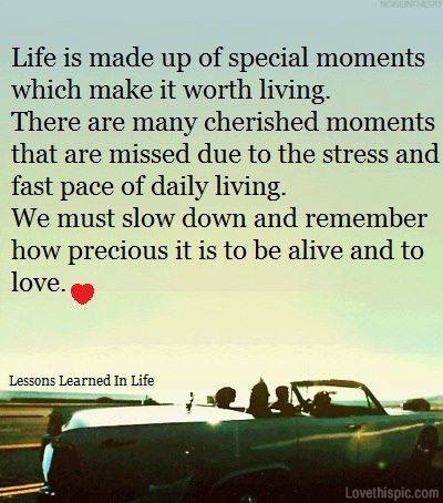 Life Life