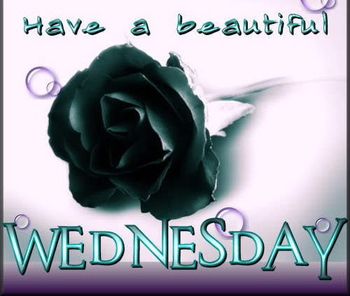 Have a Beautiful Wednesday Have a Beautiful Wednesday