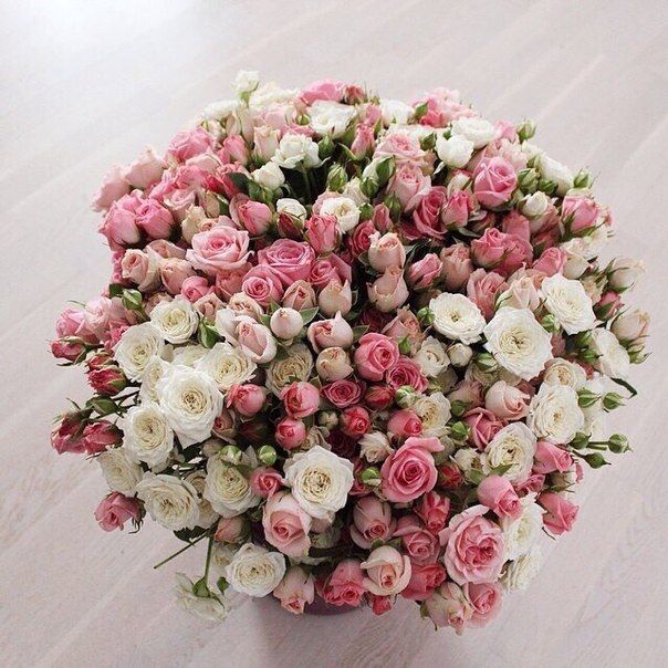 Rose bouquet