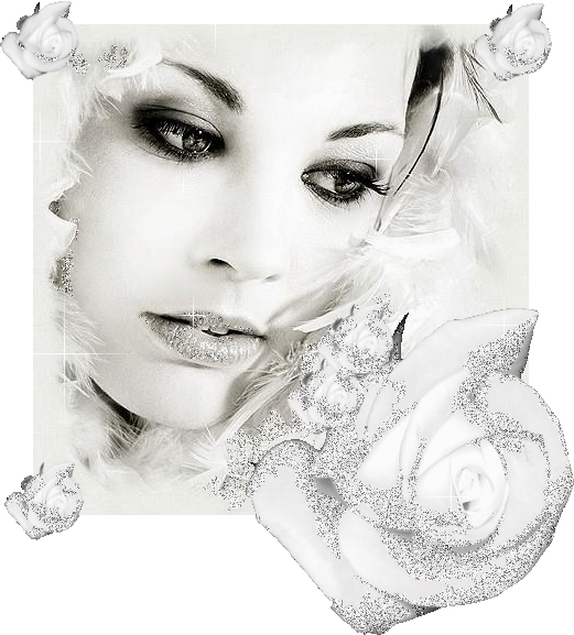White rose