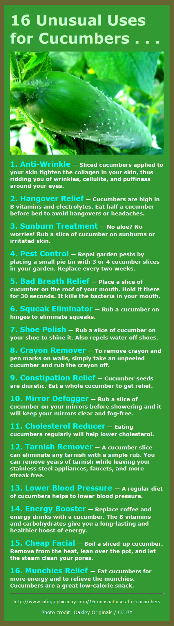 16 unusual uses for cucumbers 16 unusual uses for cucumbers