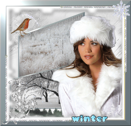White Winter Fur White Winter Fur