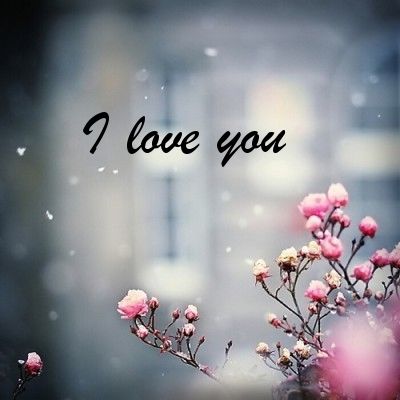 I Love You I Love You
