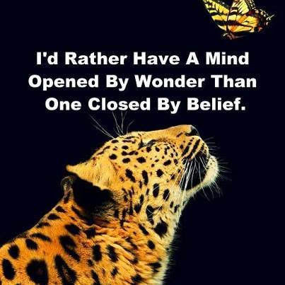 a mind opened by wonder a mind opened by wonder