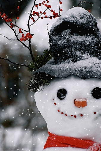 Happy Snowman Happy Snowman