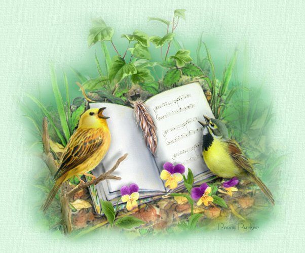 Birds singing