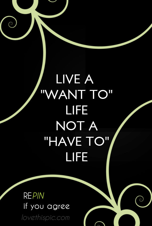 Live Live