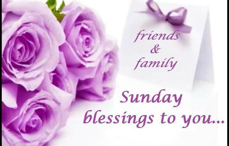 Sunday blessings for you Sunday blessings for you
