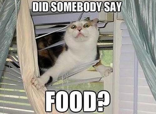 Did somebody say