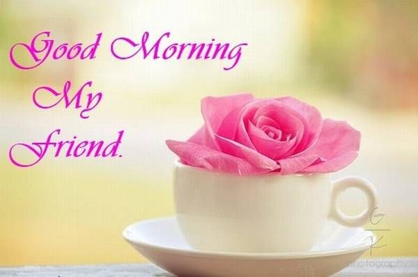 Good Morning
