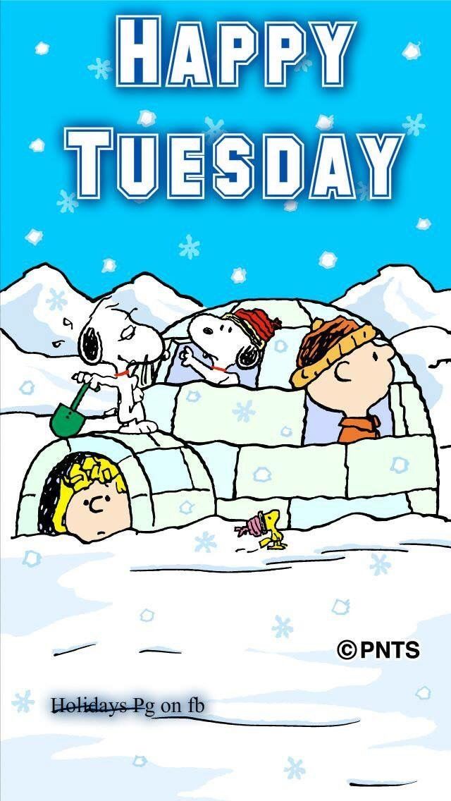 Happy Tuesday
