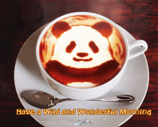 Have a wild amd wonderful morning Have a wild amd wonderful morning